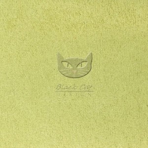 0017 ANTARA_2113 APPLE GREEN